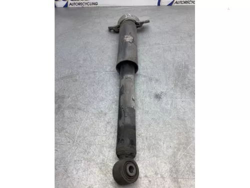 Schokdemperpoot rechts-achter-6919003