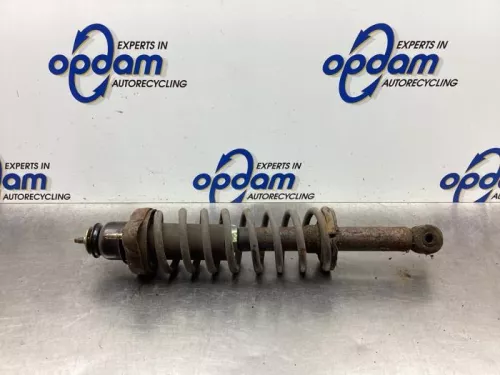 Schokdemperpoot rechts-achter-6923234