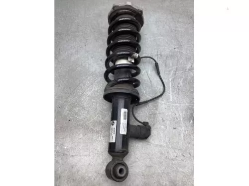 Schokdemperpoot rechts-achter-8137468