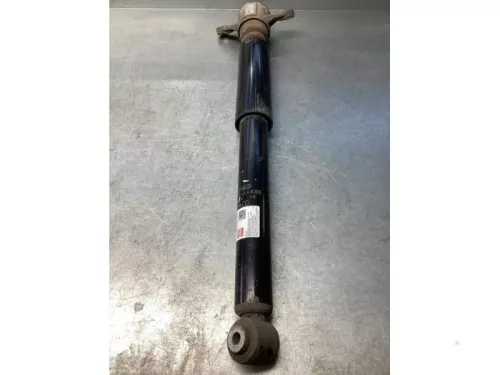 Schokdemperpoot rechts-achter-7923039