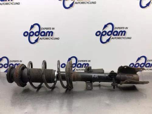 Schokdemperpoot rechts-achter-8242847