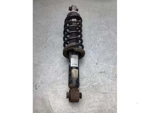 Schokdemperpoot rechts-achter-6922110