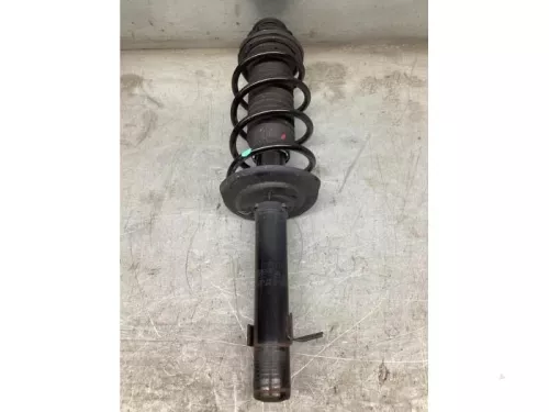 Schokdemperpoot rechts-voor-8044990