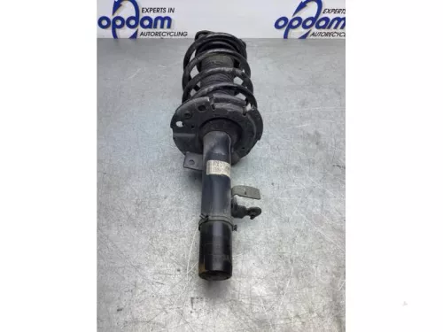 Schokdemperpoot rechts-voor-7855005