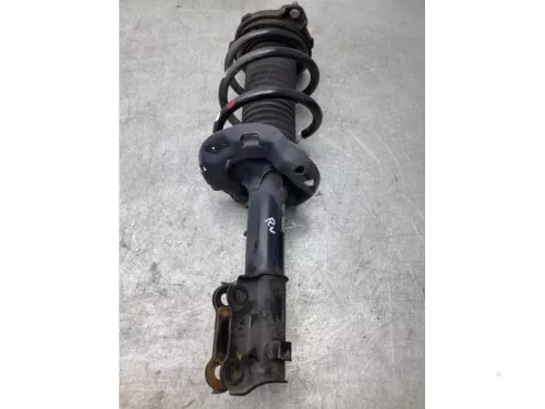 Schokdemperpoot rechts-voor-8030648