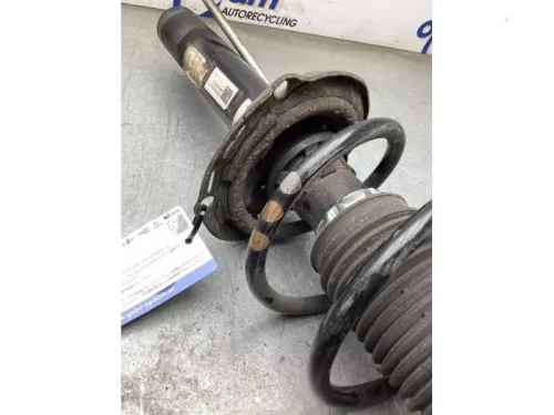 Schokdemperpoot rechts-voor-8282910