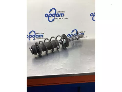 Schokdemperpoot rechts-voor-8046884