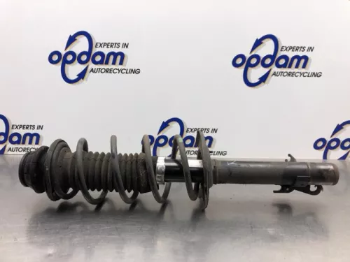 Schokdemperpoot rechts-voor-8139102