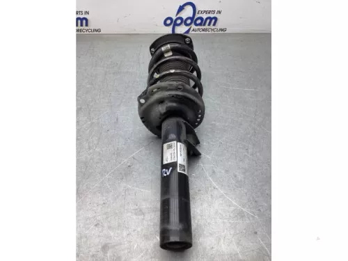 Schokdemperpoot rechts-voor-7994663