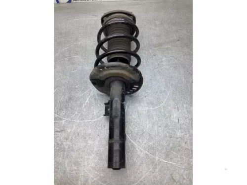 Schokdemperpoot rechts-voor-7986734