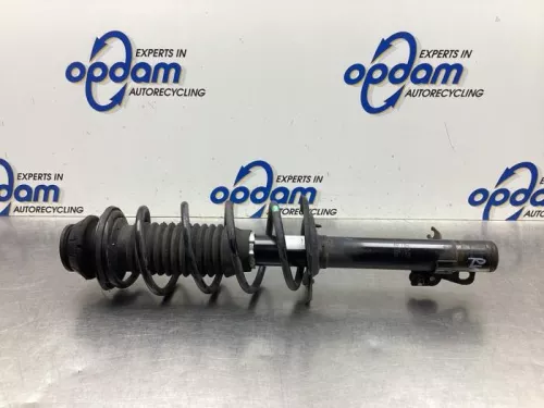 Schokdemperpoot rechts-voor-8064679