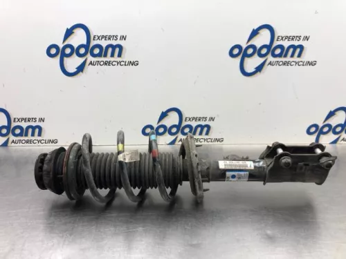 Schokdemperpoot rechts-voor-7932233