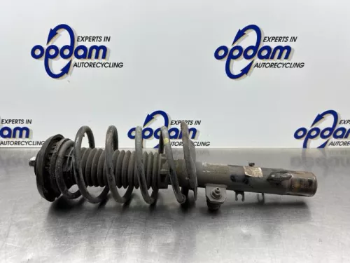 Schokdemperpoot rechts-voor-8184557