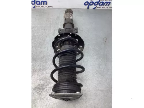 Schokdemperpoot rechts-voor-7942545