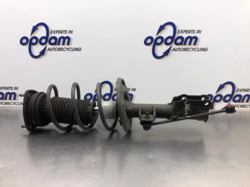 Schokdemperpoot rechts-voor-7987764