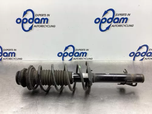 Schokdemperpoot rechts-voor-7615737