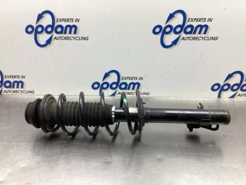 Schokdemperpoot rechts-voor-7937780