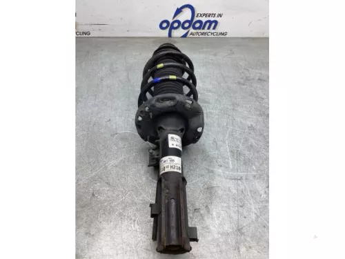 Schokdemperpoot rechts-voor-8052644