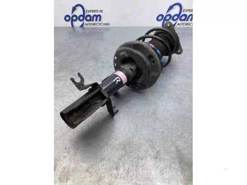 Schokdemperpoot rechts-voor-7283224