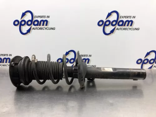 Schokdemperpoot rechts-voor-6921457