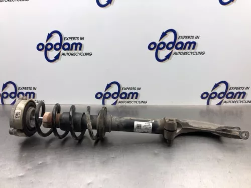 Schokdemperpoot rechts-voor-8081174