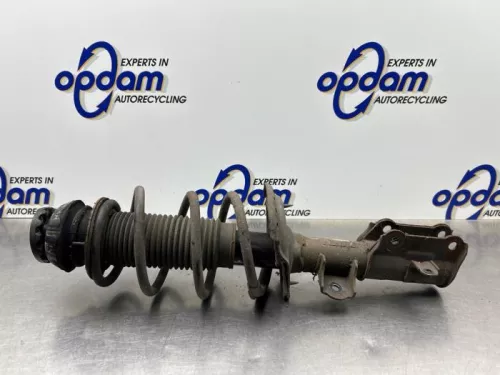 Schokdemperpoot rechts-voor-8180437