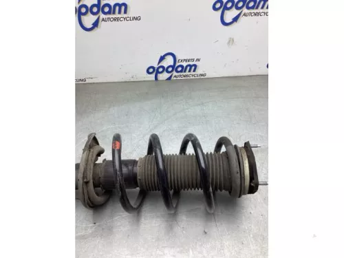 Schokdemperpoot rechts-voor-8180900