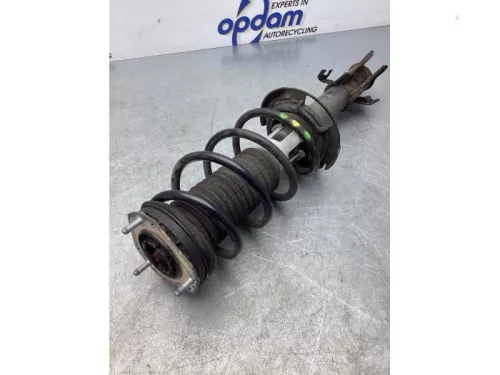 Schokdemperpoot rechts-voor-7582174