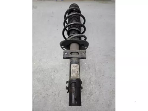 Schokdemperpoot rechts-voor-8196683