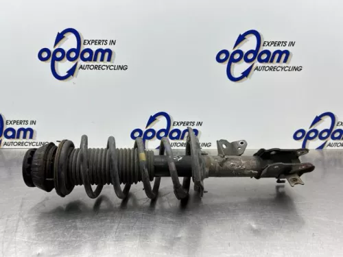 Schokdemperpoot rechts-voor-8060518