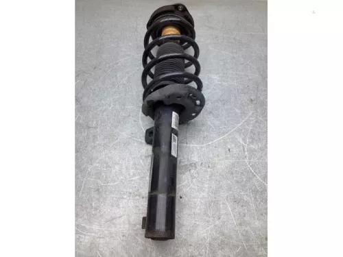 Schokdemperpoot rechts-voor-8074515