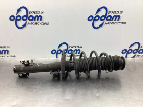 Schokdemperpoot rechts-voor-7616367