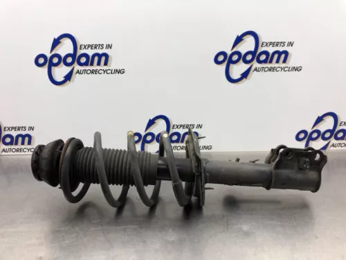 Schokdemperpoot rechts-voor-8092536