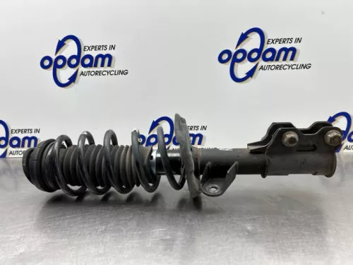 Schokdemperpoot rechts-voor-8079069