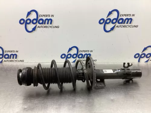 Schokdemperpoot rechts-voor-8031487