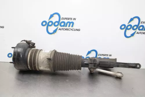 Schokdemperpoot rechts-voor-5502869