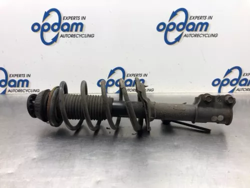 Schokdemperpoot rechts-voor-7938947