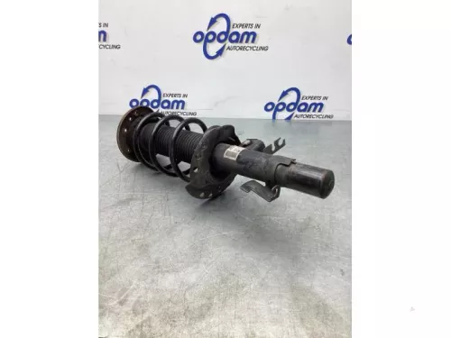 Schokdemperpoot rechts-voor-4639535