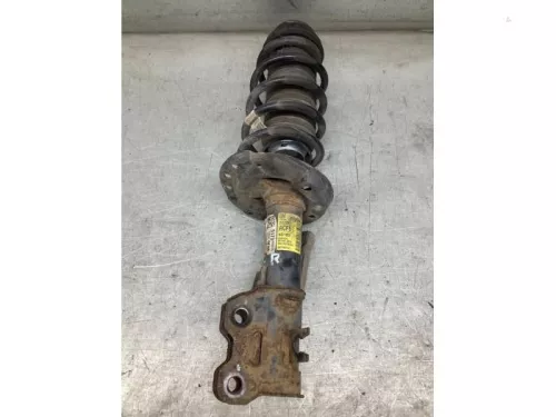 Schokdemperpoot rechts-voor-8065484