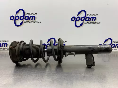 Schokdemperpoot rechts-voor-8255120