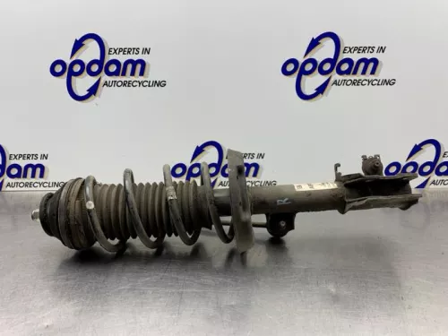 Schokdemperpoot rechts-voor-7877880