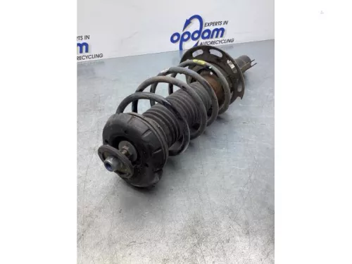 Schokdemperpoot rechts-voor-7588876