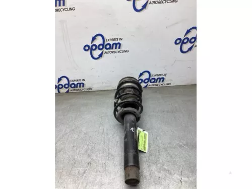 Schokdemperpoot rechts-voor-8284463