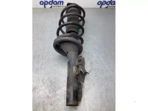 Schokdemperpoot rechts-voor-7856708