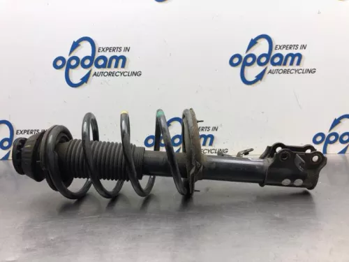 Schokdemperpoot rechts-voor-8113489