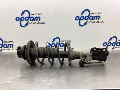 Schokdemperpoot rechts-voor-8050063