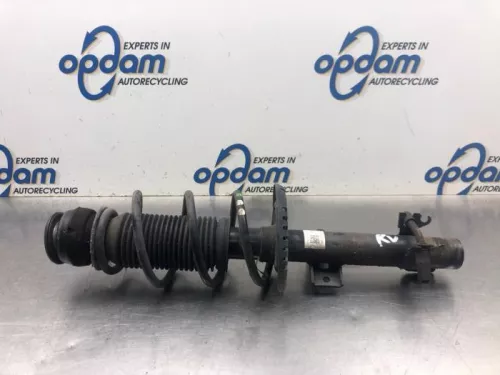 Schokdemperpoot rechts-voor-8120733