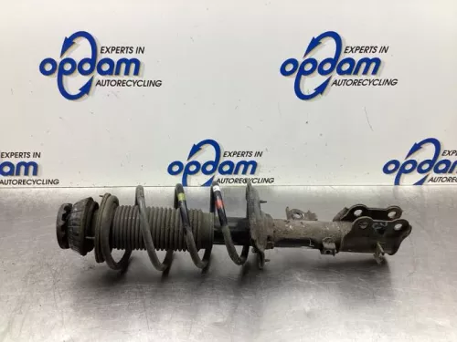 Schokdemperpoot rechts-voor-8099326