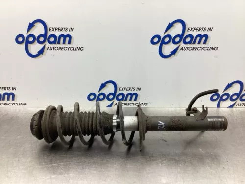 Schokdemperpoot rechts-voor-7995040