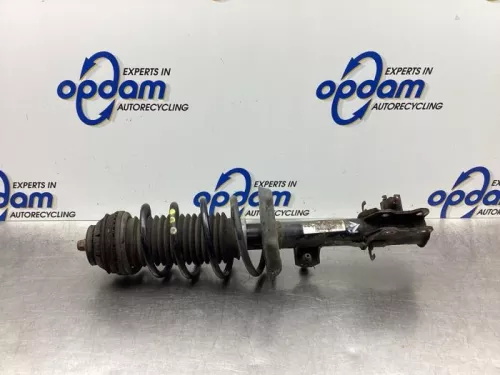 Schokdemperpoot rechts-voor-7576643